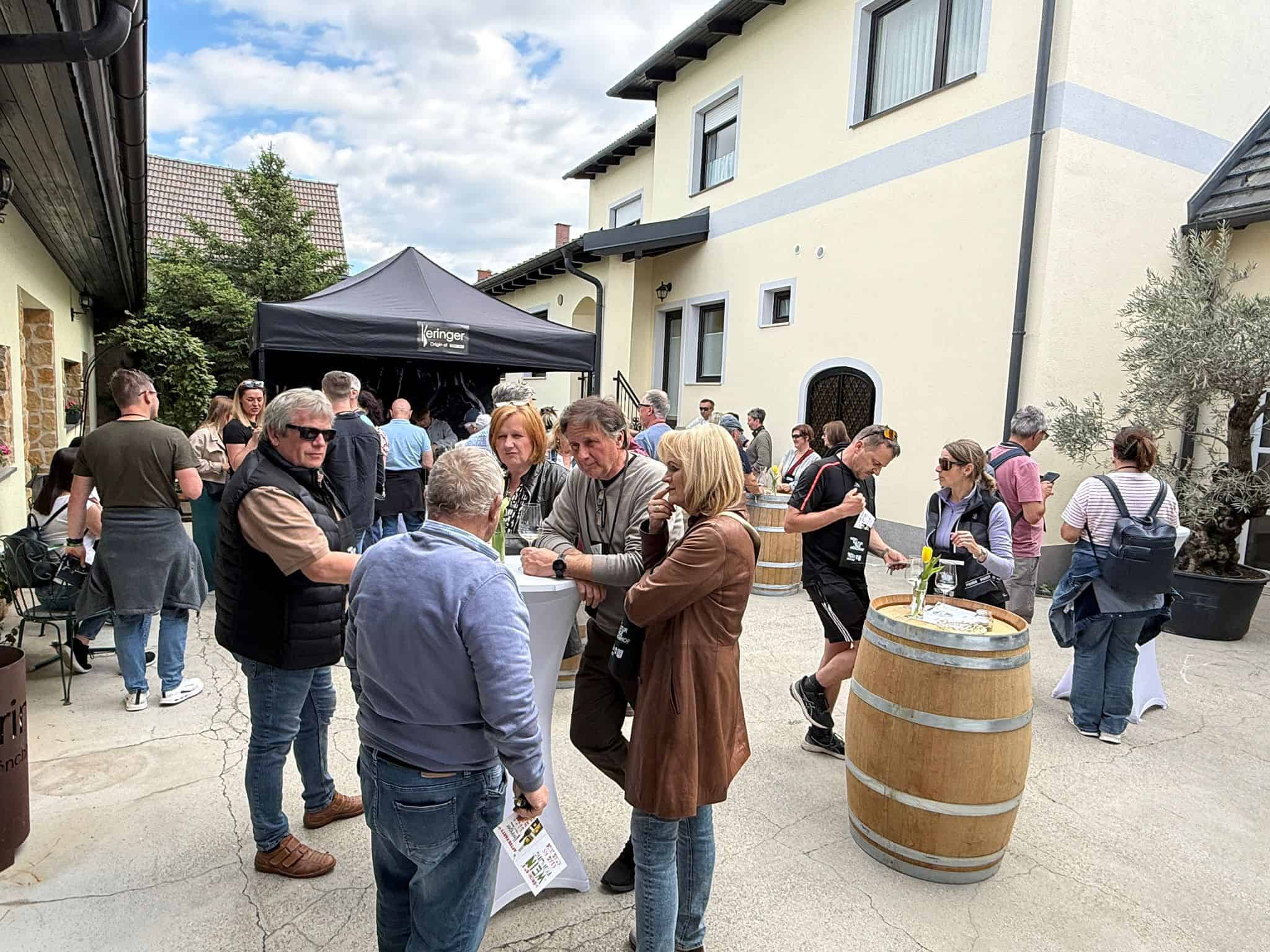 Wein-Frühling Impression 1