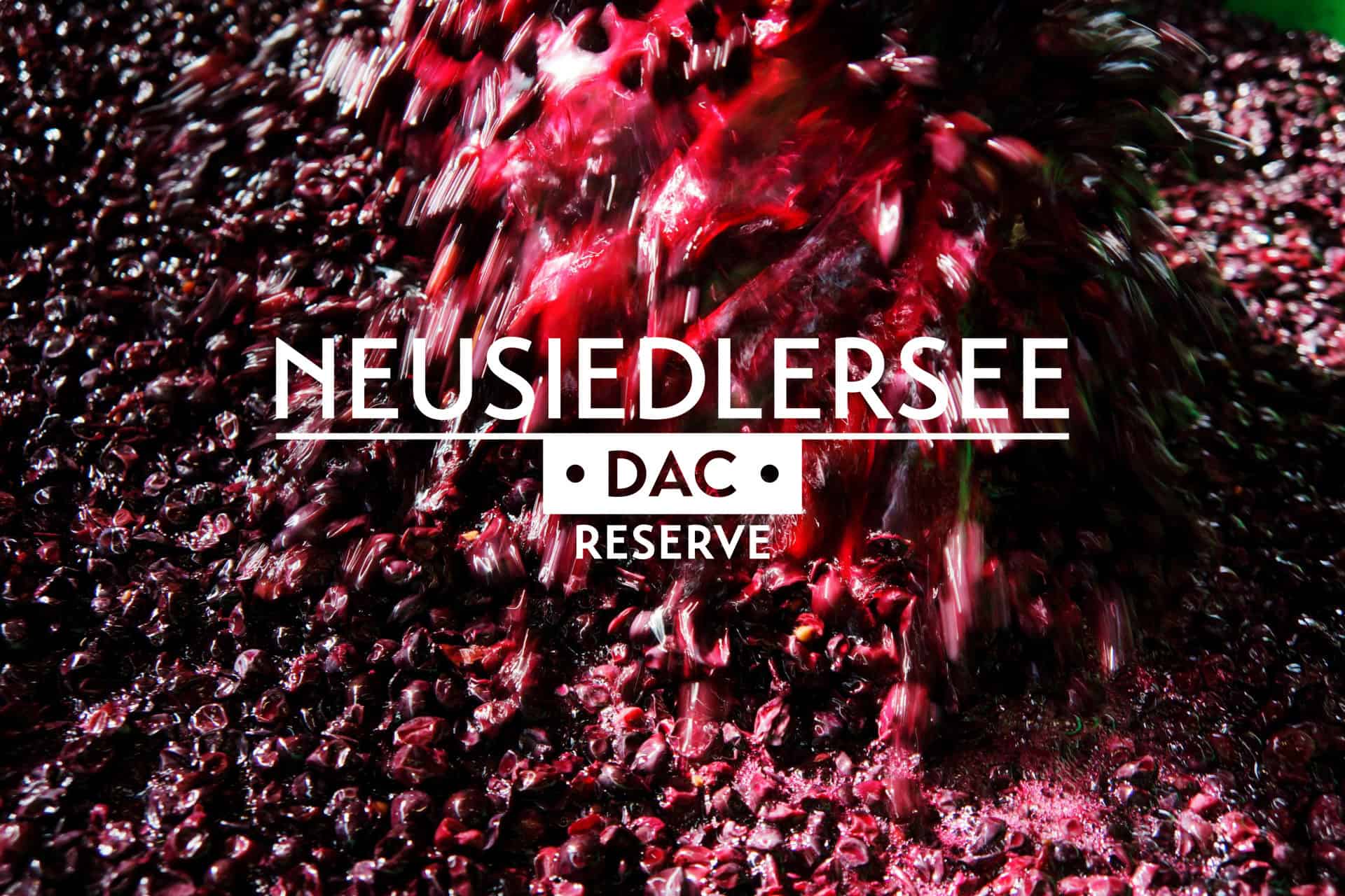 Wein-Frühling Impression 1